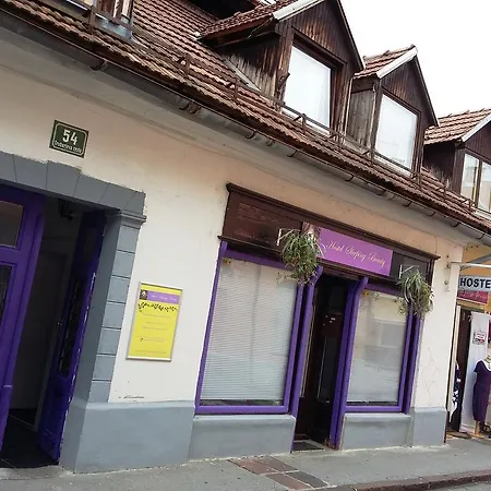 Sleeping Beauty Hostel